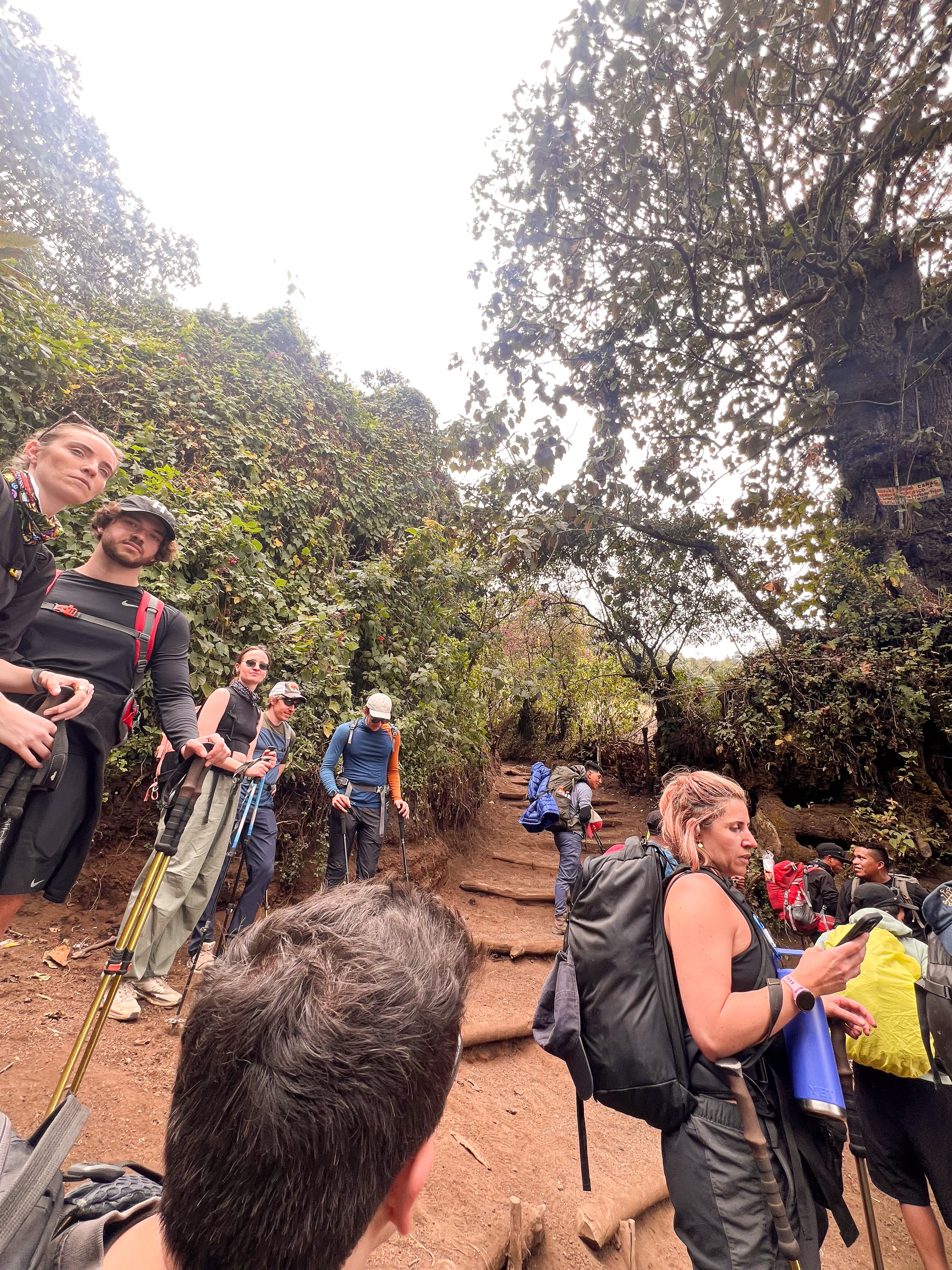 Group hikers on Acatenango volcano