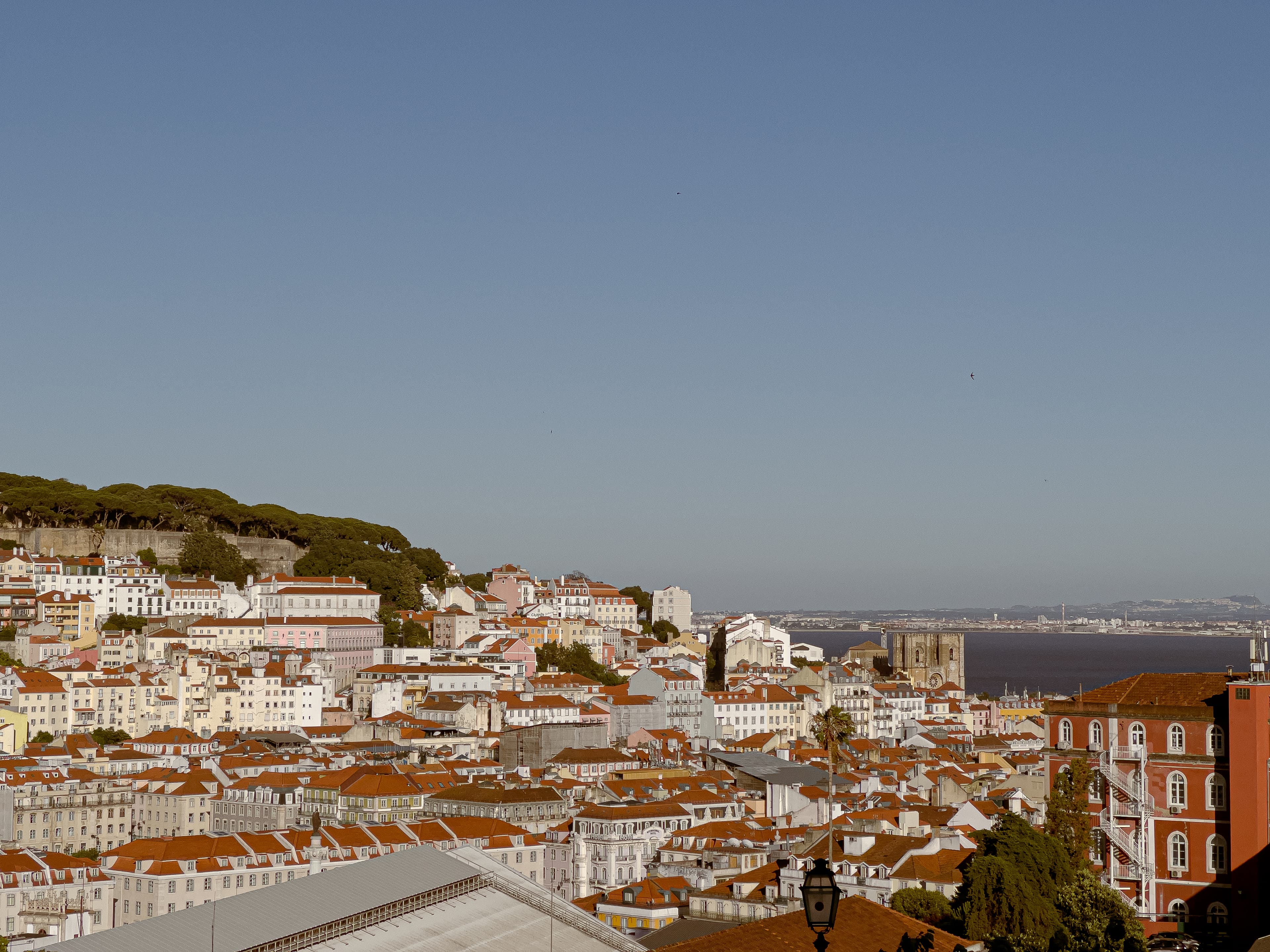 Explore Lisbon Like a Local