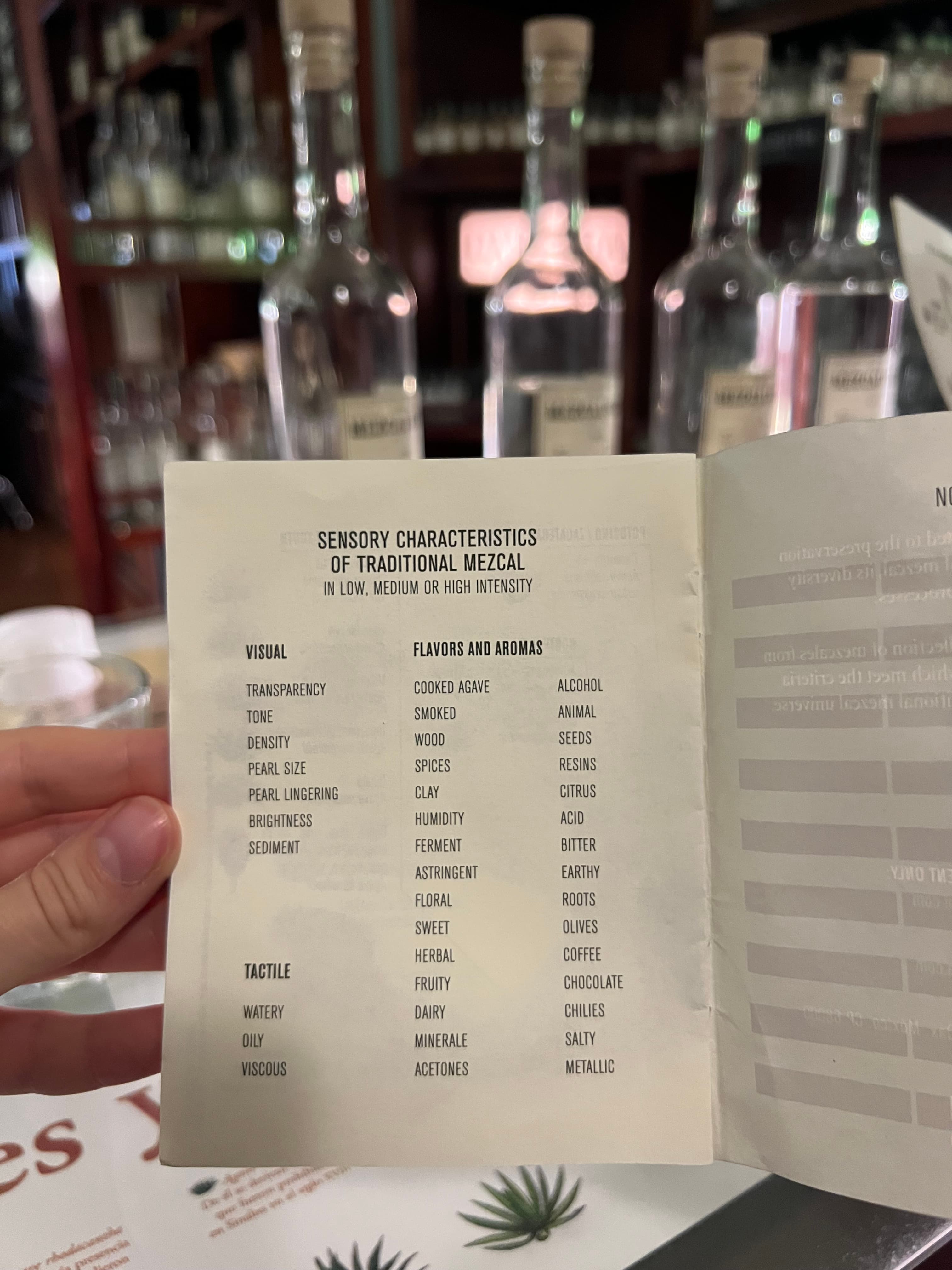 Mezcal tasting Oaxaca