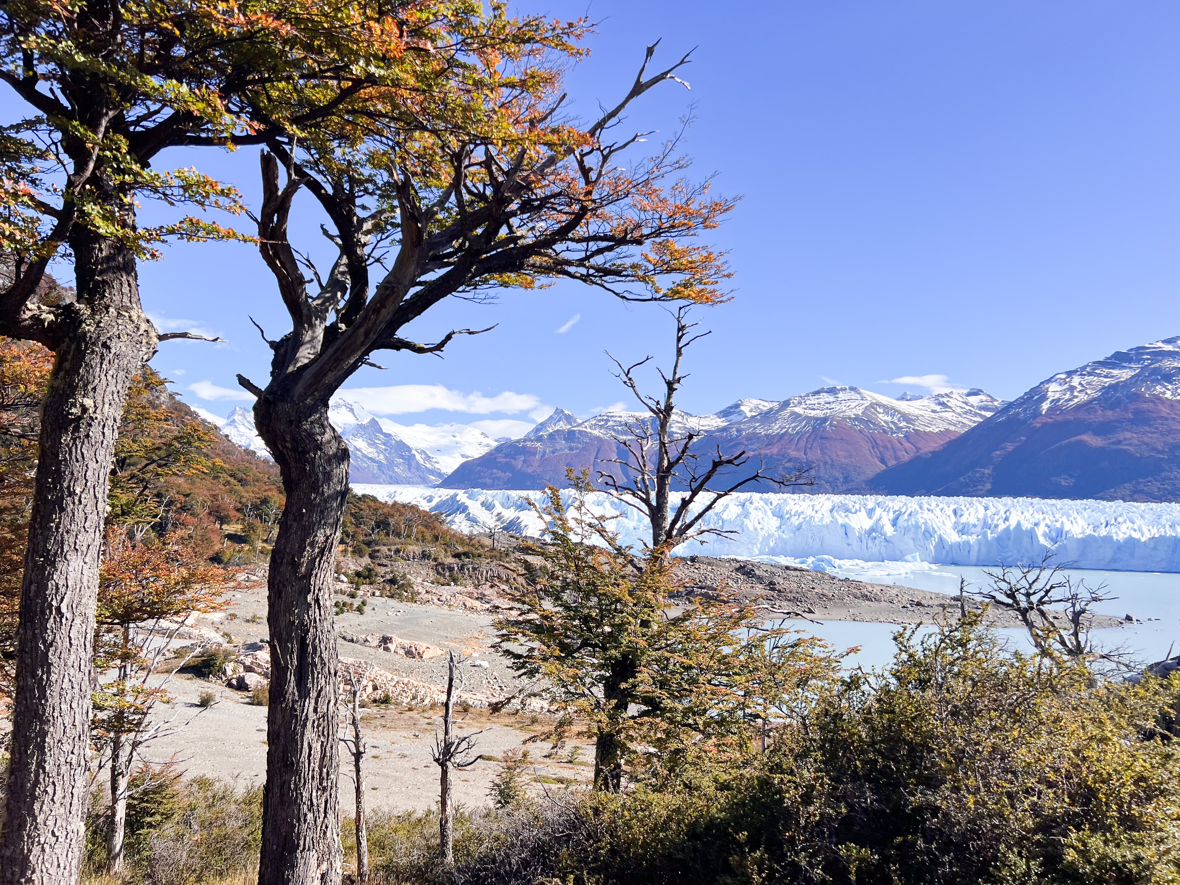 Perito Moreno Glacier face and iceberg