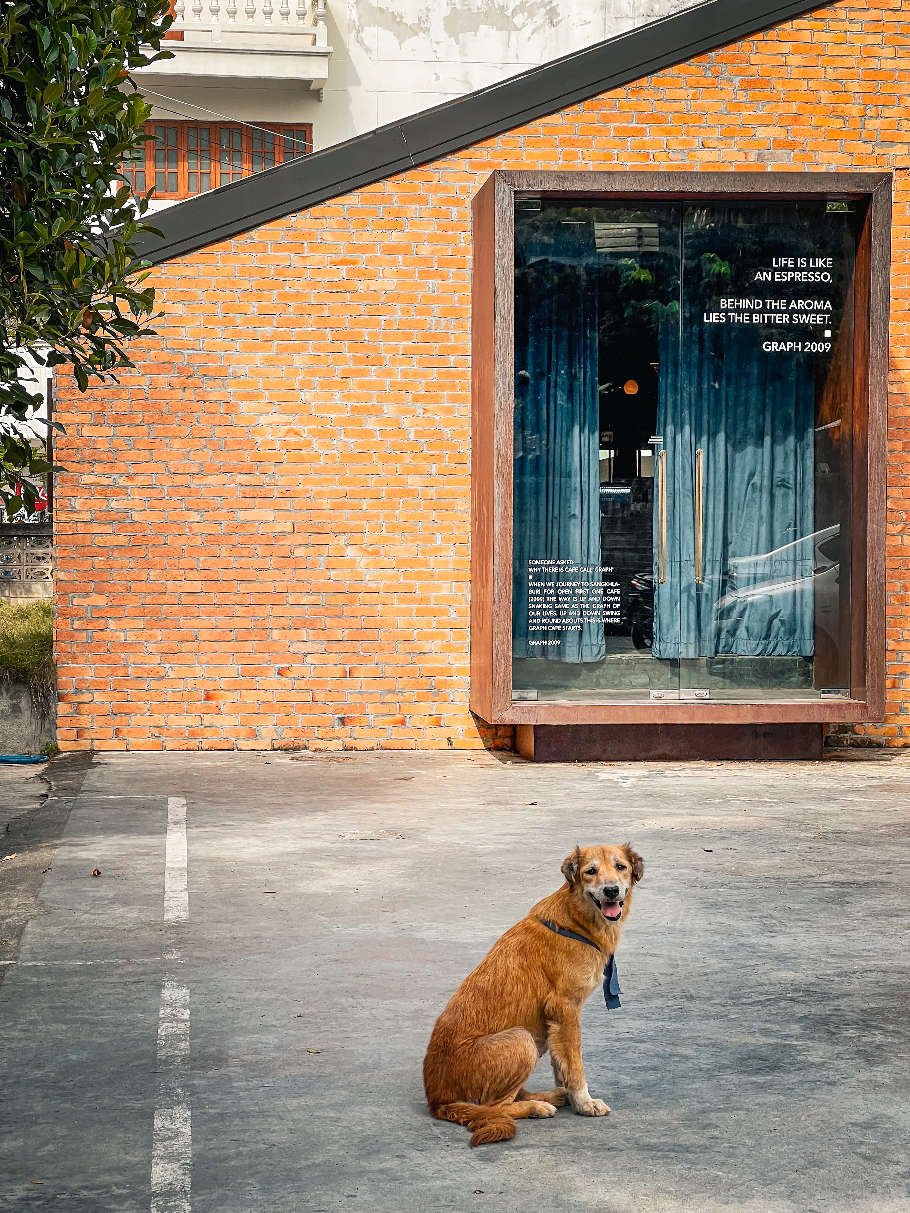 Single-origin coffee café Chiang Mai
