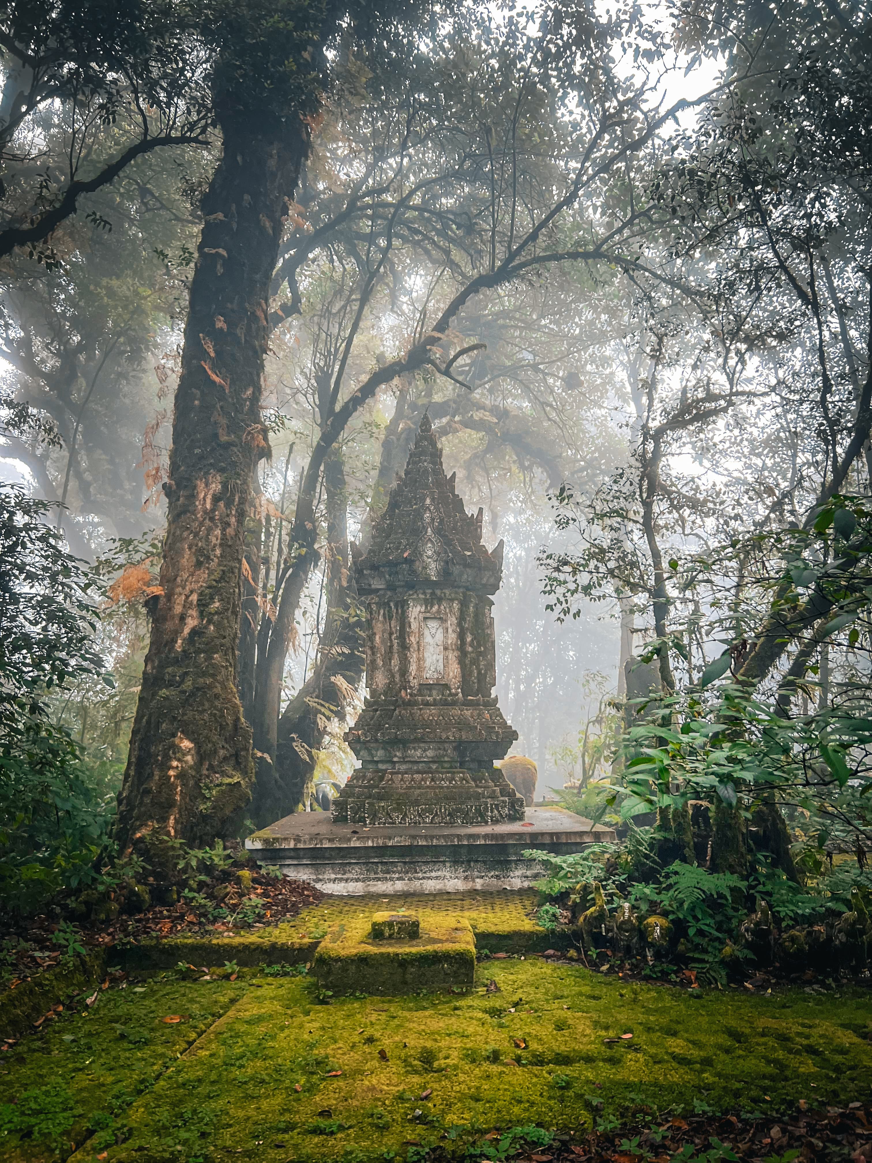 Doi Inthanon National Park scenery, Northern Thailand