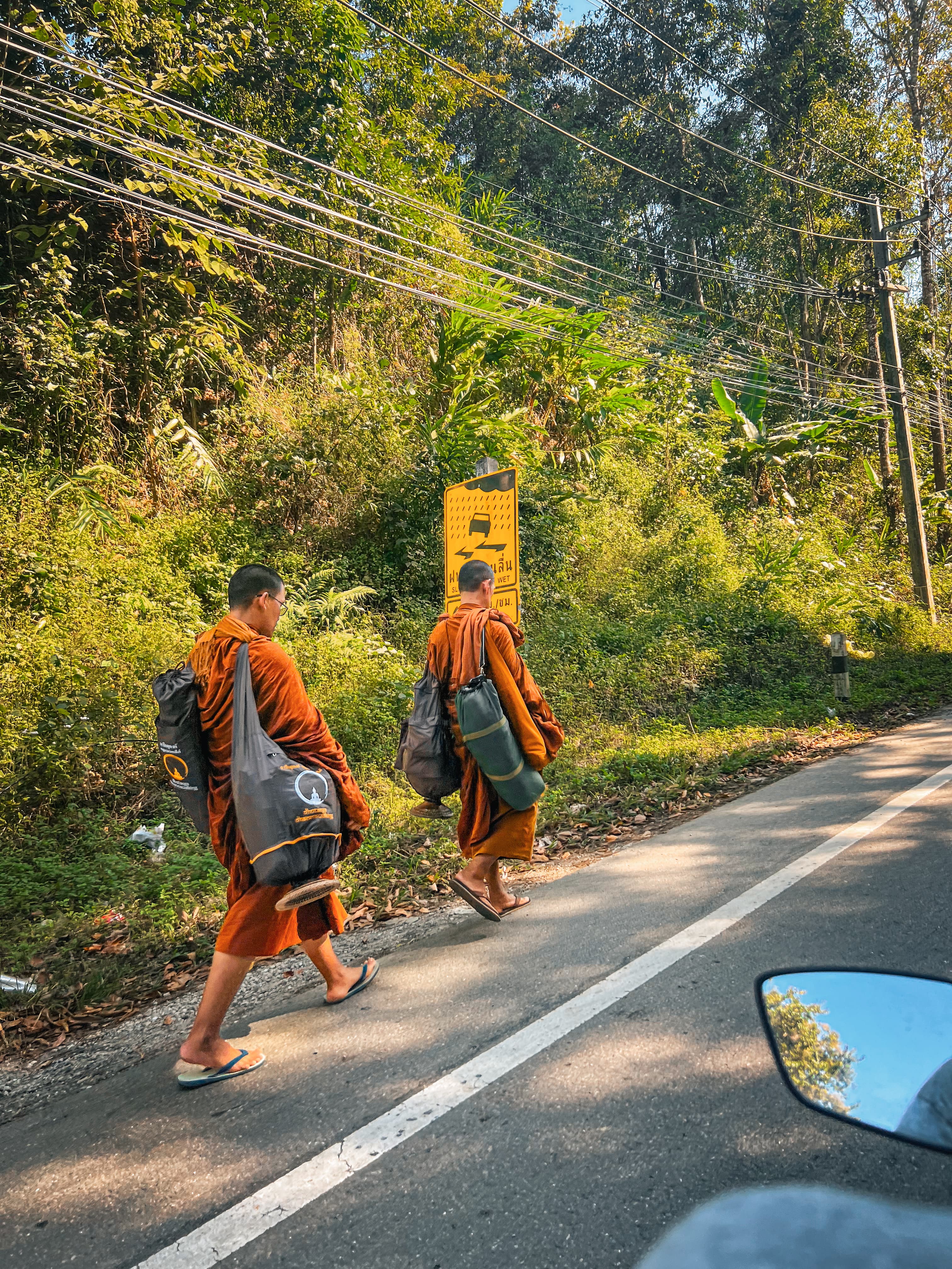 Monk's Trail hike through jungle to Wat Pha Lat, Chiang Mai