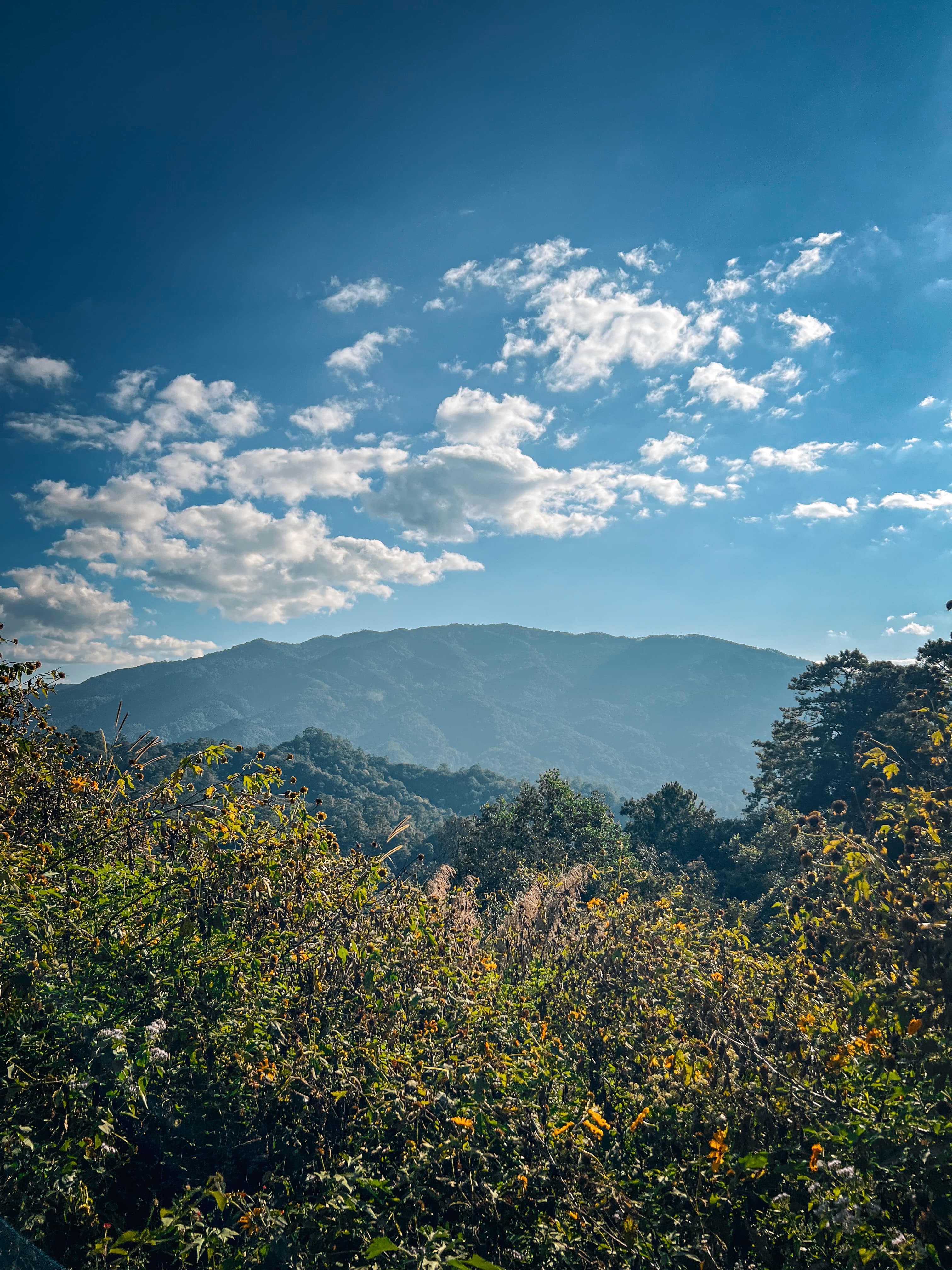 Mountain road to Pai, Northern Thailand