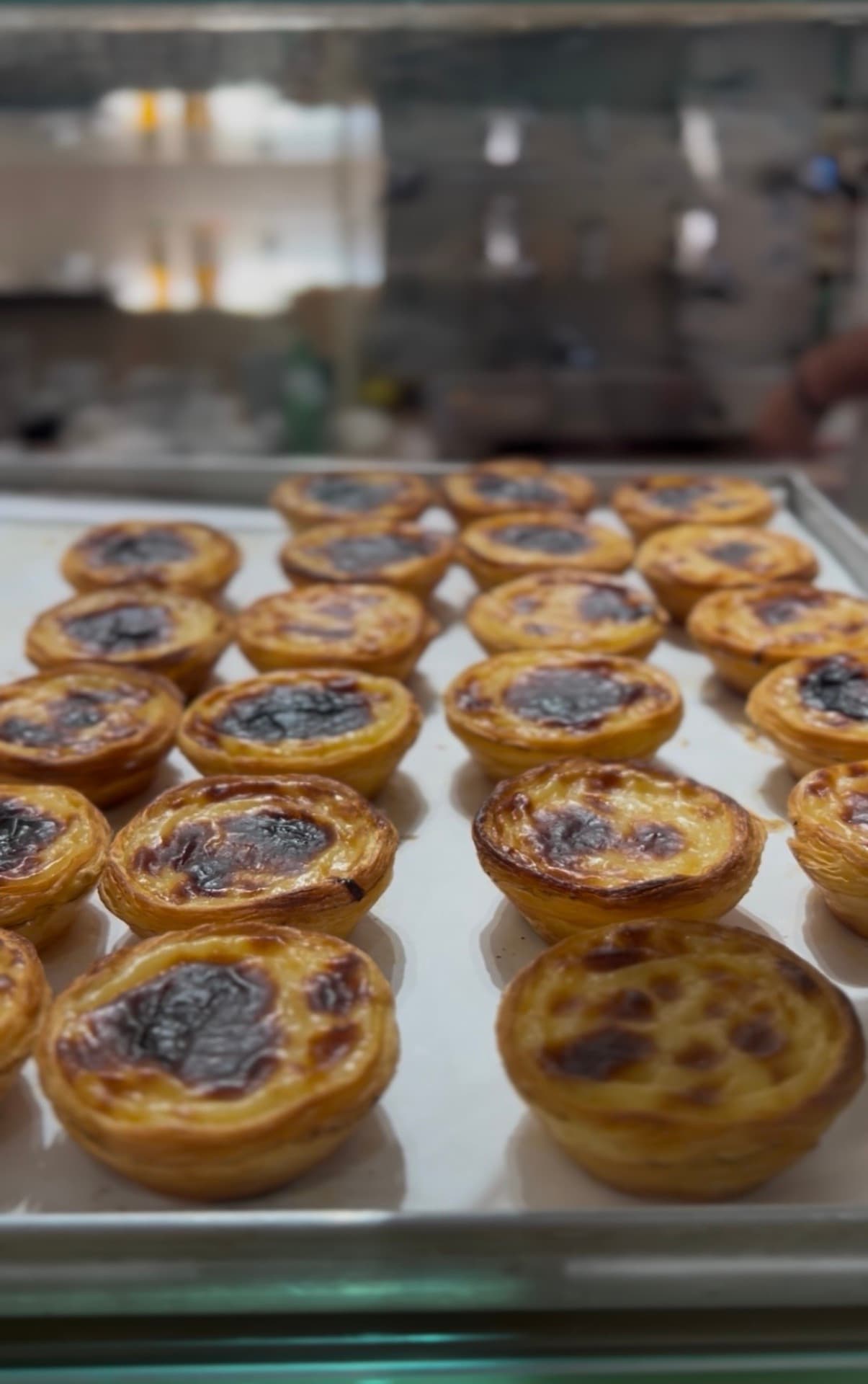 Pastéis de nata fresh on a bakery tray