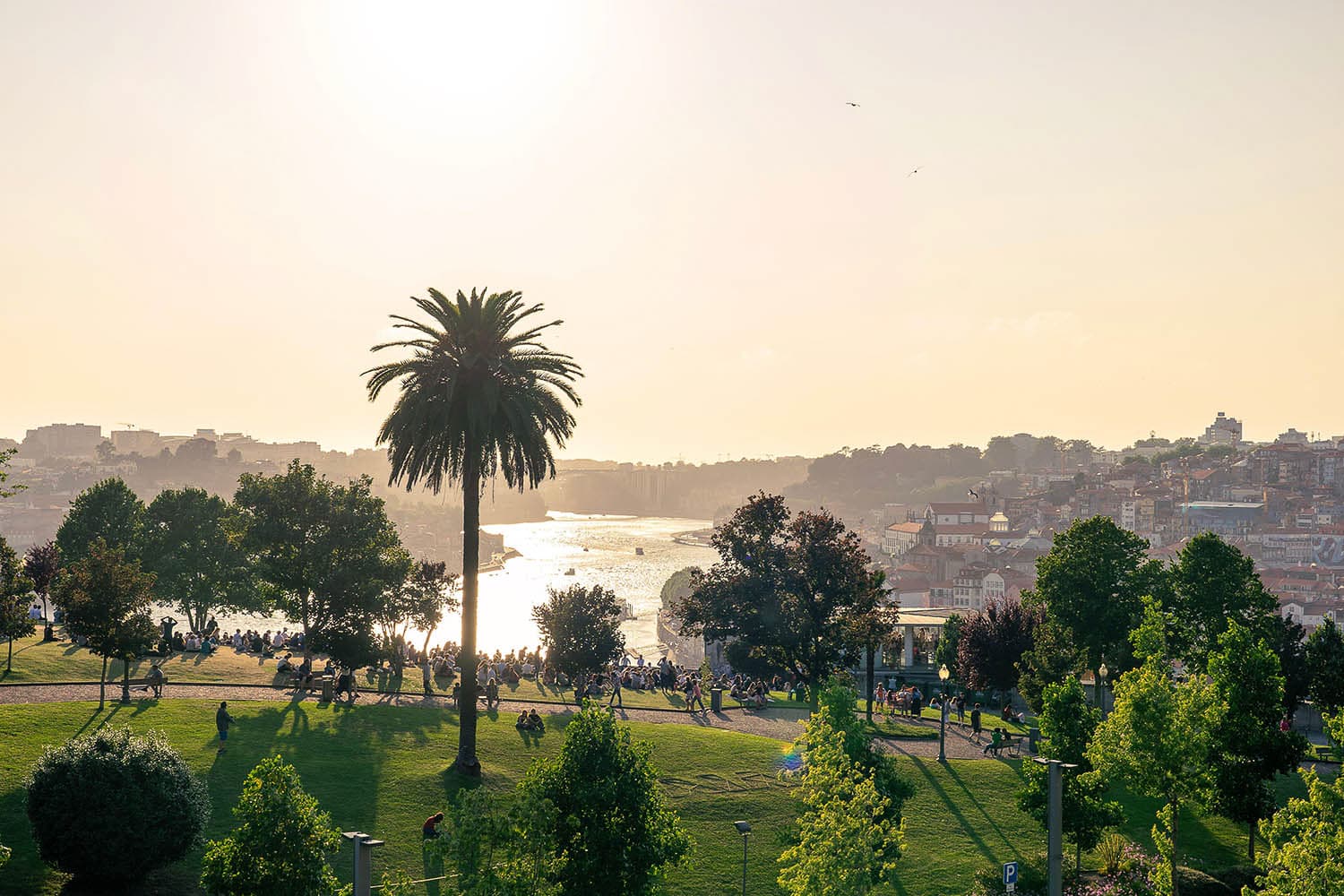 Jardim do Morro sunset view Porto