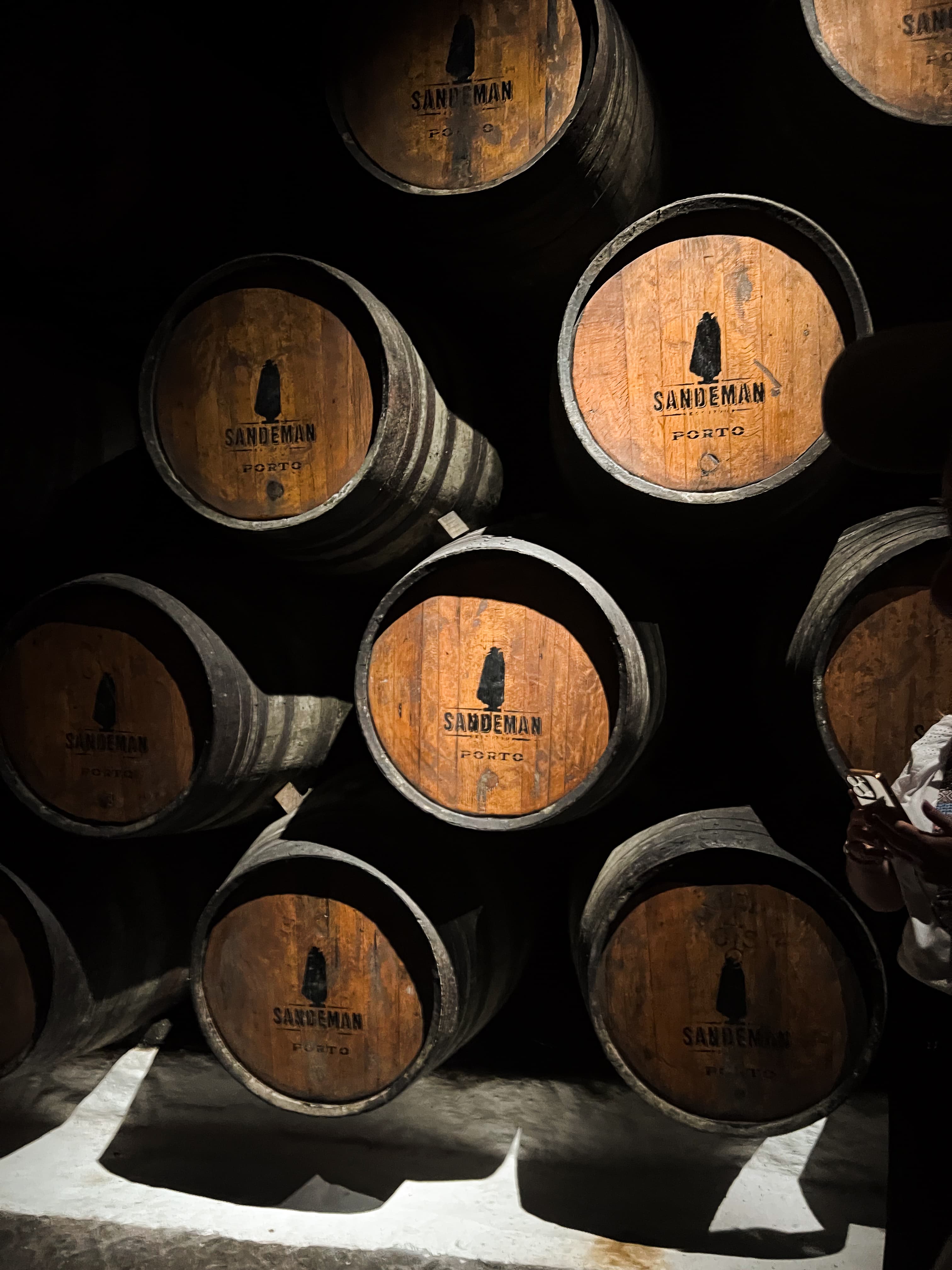 Sandeman port wine tasting Porto